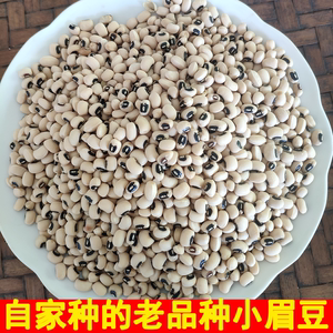 3斤眉豆广东农家自种土特产新鲜干货白豇豆白饭豆白豆眉豆干杂粮