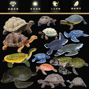 仿真海洋生物模型 海龟陆龟巴西龟象龟甲鱼棱皮龟加拉帕戈斯象龟
