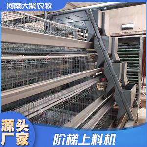 蛋鸡笼全自动设备层叠阶梯家用养殖场专用笼公鸡育雏笼自动化鸡笼