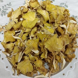 东北榆黄蘑菇干长白山野生蘑菇黄丝菌500克非鸡油菌菇黄蘑菇干货