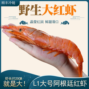 阿根廷大红虾鲜活速冻L1超大红虾野生海虾刺身红色虾仁新鲜虾2kg