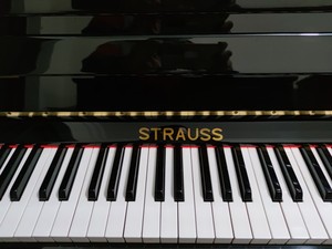 施特劳斯钢琴家用原装正品二手钢琴