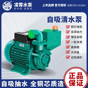 广东凌霄清水泵ZDB家用自吸泵高扬程220V自来水自动增压泵抽水泵