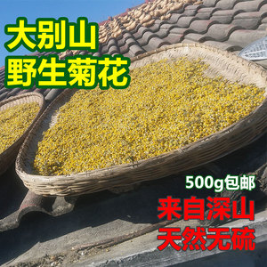 野菊花500g野生纯正天然散装泡茶新鲜小野菊花干中药材药用搭枸杞