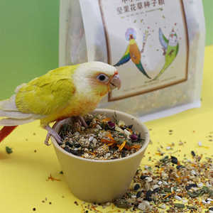 中小型鹦鹉花草坚果水果种子粮鸟食鸟粮营养混合粮新品 鸟之家