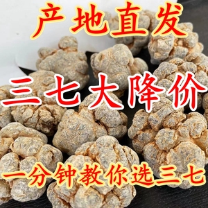 云南文山春三七足干特级18头20头30头非野生37田七超细粉正品500g