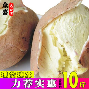 高州爆皮王番薯新鲜农家自种5斤栗子番薯白心红薯茂名粉糯地瓜10