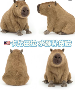 英国 capybara卡皮巴拉水豚婴儿安抚毛绒玩具 杭州现货礼物