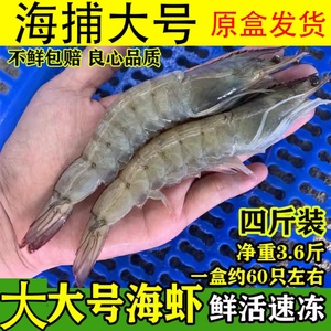 虾鲜活速冻新鲜大号对虾大海虾青虾明虾海鲜水产顺丰包邮商用