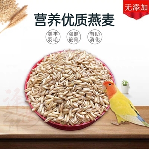 新燕麦米虎皮牡丹玄凤中小型鹦鹉宠物活体鸟粮食饲料5斤多省包邮