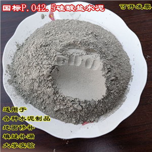 大学实验用国标P.O42.5硅酸盐水泥用于各种水泥制品地面房顶修补