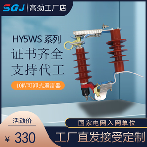 10KV高压可卸式避雷器HY5WS-17/50DL-TB带脱离跌落式氧化锌避雷器