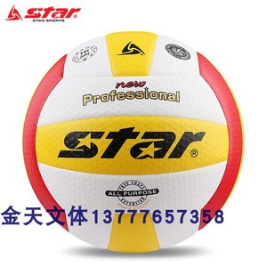 世达（star） 排球 手缝皮革材质用球 VB315-34 5号(成人)