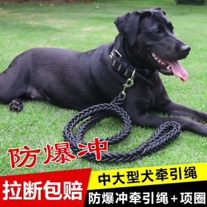 狗狗牵引绳大中型犬遛狗绳子金毛阿拉斯加德牧狗链子项圈宠物用品