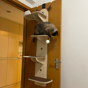 多可特猫架猫爬架猫窝猫树一体不占地小型实木挂门式猫跳台免打孔