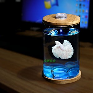 生态鱼缸亚克力圆形微景观瓶桌面创意旋转斗鱼缸小型透明水母缸灯