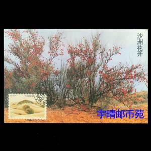 1994-4(4-2)沙漠绿化邮票原地极限片 甘肃民勤薛百首日邮政戳