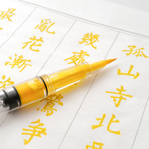【送彩墨+字帖】软毛笔秀丽笔透明钢笔式毛笔墨水美工笔书法练字
