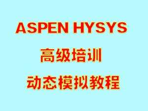 ASPEN HYSYS高级培训教程，HYSYS动态模拟，软件指导，Aspen V14