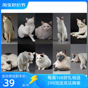 WF 森口修的猫 其の十七 十八 十九 二十 猫 写实动物 GK白模