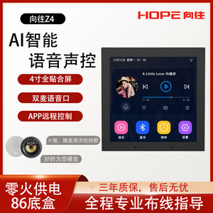 HOPE向往Z4背景音乐控制器智能涂鸦米家音乐主机吸顶吊顶喇叭86型