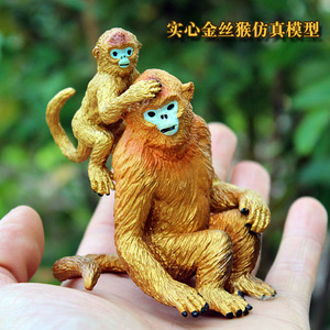 儿童玩具仿真动物模型金丝猴实心野生小猴子手办科教认知节日礼物