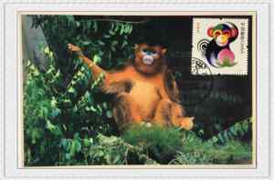 2004年1月5日甲申年猴票金丝猴极限片5盖黄山石猴观海首日风景戳