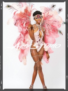 艾米家巴西狂欢节粉色系列羽毛桑巴乐园巡游商演酒吧演出服
