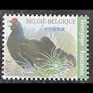 比利时 2013  布津鸟类  黑琴鸡 高值  邮票