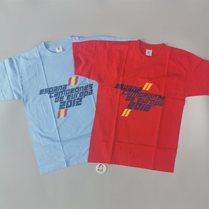 【欢欢正品】正版西班牙2012欧洲杯冠军纪念男式短袖T恤 现货