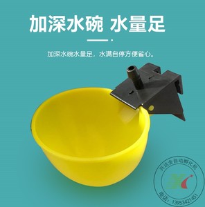 加大自动饮水器新款鸽子用品喂水碗鹌鹑鸡用水杯6/8/9.5毫米水碗