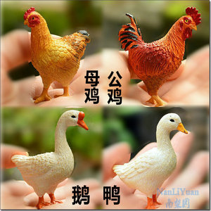 母鸡公鸡/鹅/鸭子仿真动物模型摆件公仔农场家禽动物模型儿童玩具