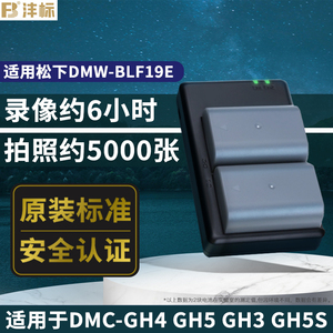 沣标松下DMW-BLF19E电池DMC-GH4 GH5 GH3 GH5S DC-G9LGK相机配件