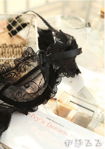 法国迷情出口原单性感神秘黑色蕾丝内衣超薄透视刺绣BC杯文胸套装