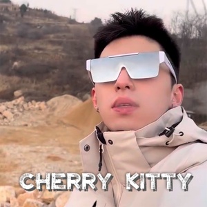 韩国Cherry Kitty男士大框墨镜个性防风眼镜登山防紫外线太阳镜女