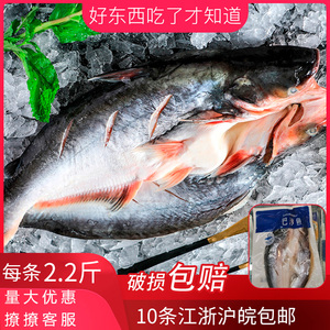 湄公鱼烤鱼开背巴沙鱼龙利鱼凌波鱼冷冻腌制鱼2.2斤/条新包装免邮