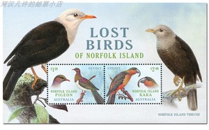 澳大利亚诺福克岛2023灭绝的鸟类 鸽子卡卡鹦鹉小全张新外国邮票