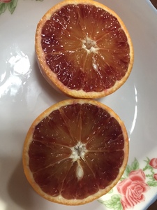 四川自贡生态种植血橙自然成熟不催熟果香味浓郁