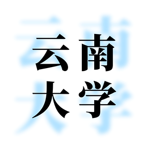 丸子汉硕24云南大学汉语国际中文教育考研354&445