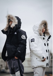 The North Face Antarctica Parka 日版北面极地羽绒服 超保暖