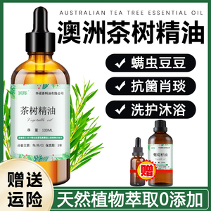 澳洲茶树精油 天然植物单方精油10ml 收缩毛孔 控油洁肤稀释使用