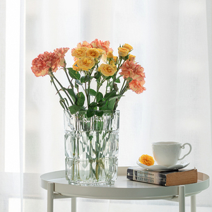 卢梭玻璃桌面花瓶高透明玫瑰鲜花水养花瓶方形大口径客厅装饰摆件