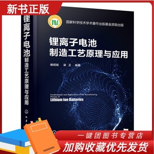 锂离子电池制造工艺原理与应用 锂离子电池关键技术书籍 离子电池电化学性能设计 制造工序工艺原理制造设备工艺调控方法缺陷预防