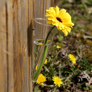 玻璃花瓶水晶悬壁挂手工打造透明风信子绿萝养花绿植吊瓶水培花瓶