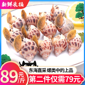 舟山鲜活花螺500g新鲜海鲜水产鲜活东风螺花甲满野生小海螺贝壳类
