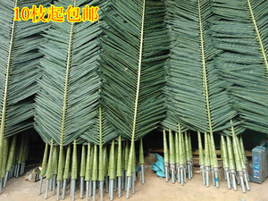 仿真椰子叶棕榈叶摄影道具装饰海藻假叶过胶带柄大型椰子树叶室外