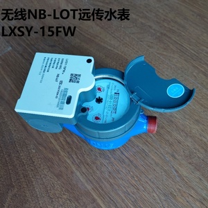 宁波总厂水表无线NB-LOT远传水表无线LORA远传水表LXSY-15FW-DN50