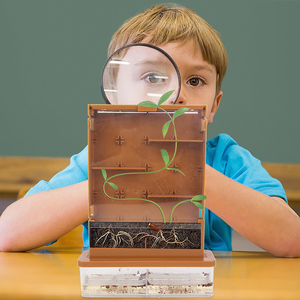儿童植物迷宫种植发芽生长根系观察窗器盒箱幼儿园科学区材料大班