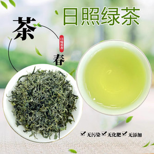 正宗日照绿茶2024新茶叶清香茶叶散装豆香型手工茶一斤装山东特产