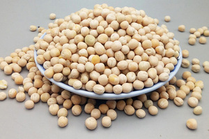 白豌豆50斤新农家自种苗芽菜种子豌豆粒生的鸽粮煮粥重庆小面配料